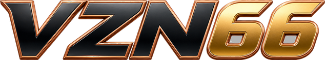 vzn66 logo